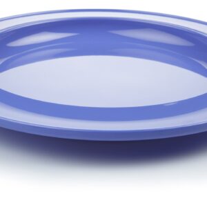 Unbreakable Dinner plate