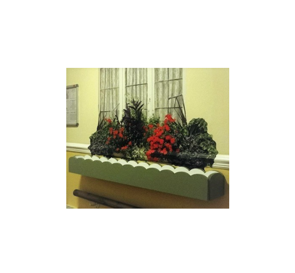 Window Boxes