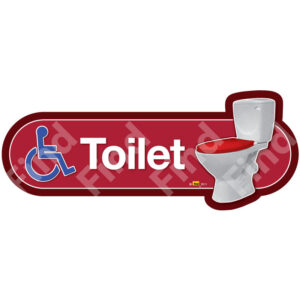 Vintage Disabled Toilet