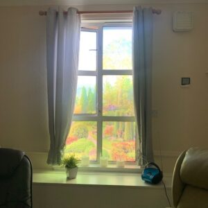 Light Enabling Vinyl