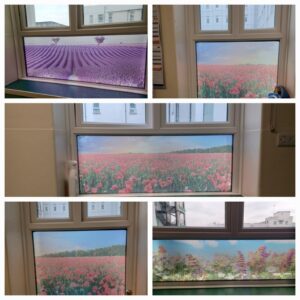 Dementia Window Vinyl 