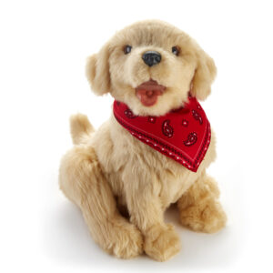 Companion Golden Pup
