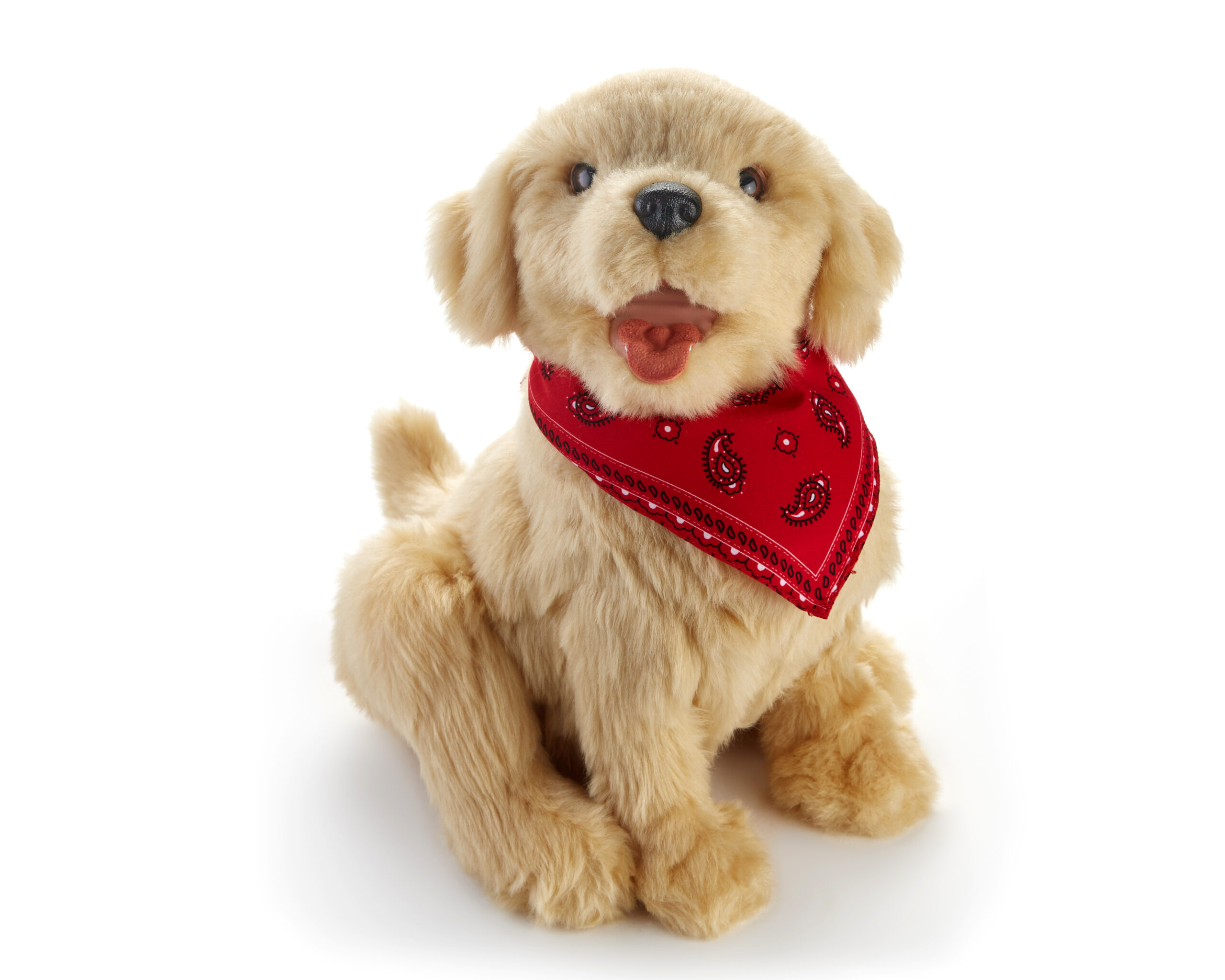 puppy_14-scaled